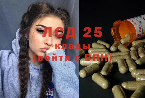 дмт Ельня