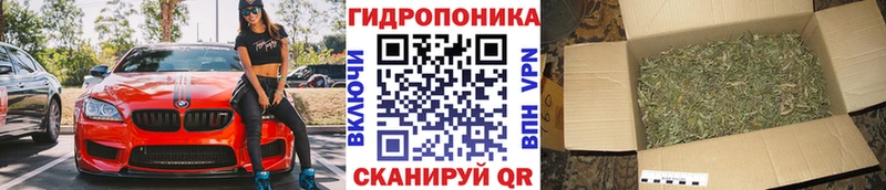 Бошки Шишки тримм  гидра онион  Куса 
